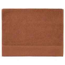 3 grandes serviettes invité Zéro Twist 560 g/m² Auburn 40x60 cm SENSOFT
