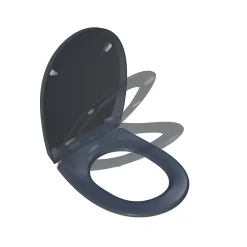 Abattant WC gris anthracite brillant Classic Bemis