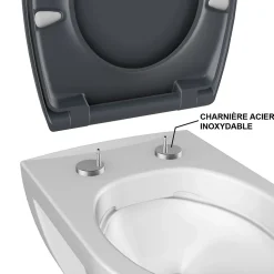 Abattant WC gris anthracite brillant Classic Bemis