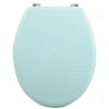 Abattant wc MDF CLEO Vert Poudré Charnières en Inox MSV