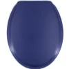 Abattant wc moule dolce marine