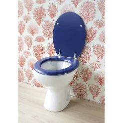 Abattant wc moule dolce marine