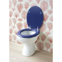 Abattant wc moule dolce marine