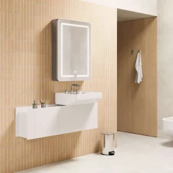 Armoire de toilette LED aluminium MANILLONS 2p miroir l. 60 cm H. 80 cm P. 14 cm - Gan