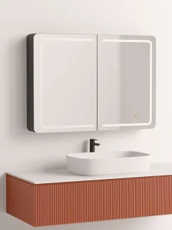 Armoire de toilette LED aluminium MANILLONS 2p miroir l. 80 cm H. 70 cm P. 14 cm - Gan