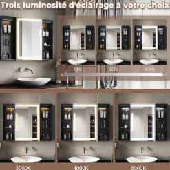 Armoire de toilette SIRHONA Grand Rangement 60x75 cm + Interrupteur tactile + Température LED tricolore + Anti-buée + Prise rasoir