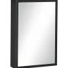 Armoire miroir murale salle de bain toilette dim. 40L x 12l x 60H cm acier inox. noir verre