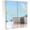 Armoire miroir rangement toilette salle de bain meuble mural dim. 60L x 12l x 55H cm acier inox.