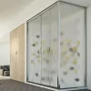 Cabine douche 80x150 H198 CM mod. Young Duo 2 Portes Opaque