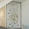 Cabine Douche 120x120 H198 Transparent mod. Evolution