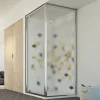 Cabine douche 70x70 Ouv. 70 CM 198 Opaque mod. Cristal Duo 1 Porte
