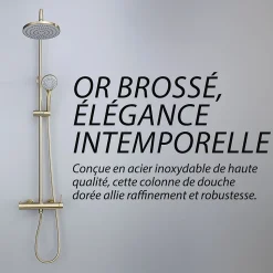 Colonne de douche couleur or brossé - DILECI