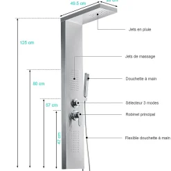 Colonne de douche hydromassante ZENY 3 jets Gris / Argent - Saniverre