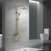 Colonne de douche mitigeur or brosse acier et laiton douchette extensible pomme extraplate antic