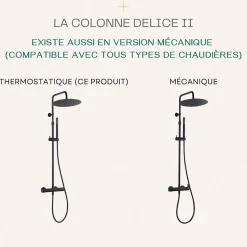 Colonne de douche thermostatique corps froid noir Essebagno Delice II