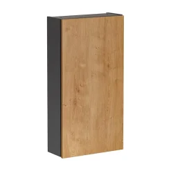 Colonne de rangement TAMO 1 porte Coloris gris anthracite L40 x P16 x H75 cm Meuble suspendu