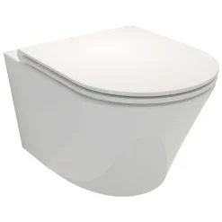 Cuvette WC suspendu sans bride JACOB DELAFON Rodin+ avec abattant