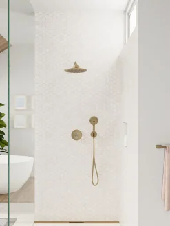 Douchette à main 3 jets, bronze brossé, Hansgrohe Raindance Select S 120