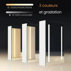 EMKE Meuble de Salle de Bain avec Miroir, Porte Soft-Close, LED Réglable, Prise USB, Anti-Buée, Charnière Gauche