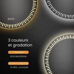 EMKE Miroir led salle de bain 80 cm, avec 3 Couleurs de lumière réglables+Anti-buée, Économie d'énergie miroir led