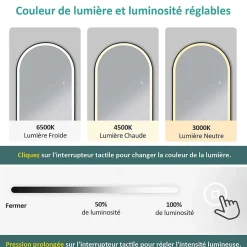 EMKE Miroir pleine longueur avec éclairage LED, lumière variable, dimmable, 160 x 60 cm, interrupteur tactile, noir