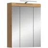 Eteka - Armoire de toilette avec éclairage (L/H/P : 60x79x18 cm) en imitation blanc et imitation sauge emboutie