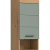 Eteka - Armoire suspendue (L/H/P : 37x79x24 cm) en imitation blanc et imitation sauge emboutie