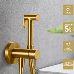 Kit Hygiène Douchette de WC / Bidet Encastré Or Brossé IMEX GENOVA RDG053/OC