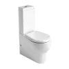 La Cuvette Des Toilettes Avec Réservoir De Chasse D'eau Monobloc Et Installation De La Chasse D'eau.