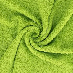 Lot de 2 draps de douche 70x130 cm ALPHA vert Pistache