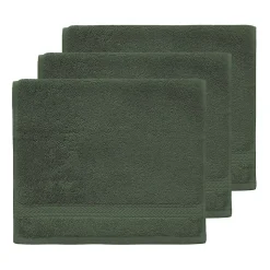 Lot de 3 serviettes invité 550 g/m² Eucalyptus 30x50 cm LUXURY