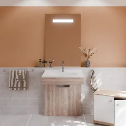 Meuble PMR ALTEA 70 cm avec plan vasque et miroir led ELEG Plus ht105