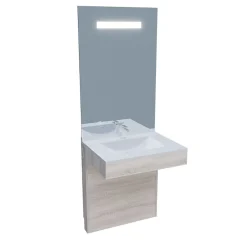 Meuble PMR ALTEA 70 cm avec plan vasque et miroir led ELEG Plus ht105