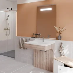 Meuble PMR ALTEA 70 cm avec plan vasque et miroir led ELEG Plus ht105