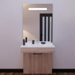 Meuble PMR ALTEA 70 cm avec plan vasque et miroir led ELEG Plus ht105