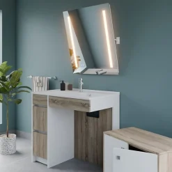 Meuble salle de bain PMR ANDY PLUS 90 cm bois et blanc + miroir Rota Plus