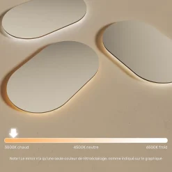 Miroir avec LED Illumination Salle de Bain (50x80cm) LED Lumineux Miroir avec Éclairage (TST106) Blanc Chaud 3000K