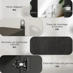 Miroir de salle de bain avec placard 2 étagères 6 niches latérales noir effet chêne clair