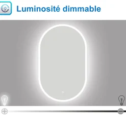 Miroir de salle de bain ovale 60x100cm, mémoire + dimmable, IP44, 6000K blanc froid, AICA SANITAIRE
