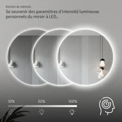 Miroir LED rond pour salle de bain de diamètre 60cm avec éclairage LED lumière froide SANILAND