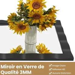 Miroir Mural 106 x 71,5 cm,Cadre en Bois d'Hévéa, Miroir de Courtoisie à Suspension, pour Salle de Bain, Salon, Entrée, Noir