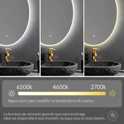 Miroir ovale LED 50x70 cm lumière dimmable 2700 6000 K, zone anti-buée et minuterie 60 min