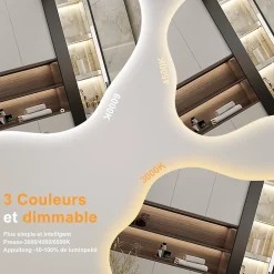 Miroir salle de bain asymétrique 100 x 66 cm LED Éclairage réglable en 3 couleurs + anti-buée + fonction mémoire AICA SANITAIRE
