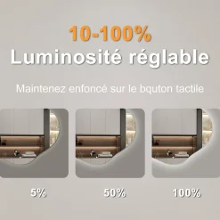 Miroir salle de bain asymétrique 100 x 66 cm LED Éclairage réglable en 3 couleurs + anti-buée + fonction mémoire AICA SANITAIRE