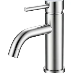 Mitigeur acier inoxydable 304, pour cuisine/salle de bain/lavabo/toilettes invités, avec tuyau, eau chaude/froide, argent