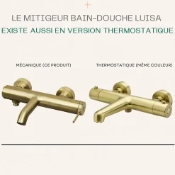 Mitigeur bain-douche mécanique or brossé Essebagno Luisa
