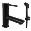Mitigeur bidet avec douchette SEINA en laiton noir