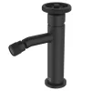 Mitigeur bidet noir Essebagno Indus