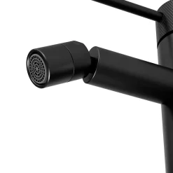 Mitigeur de bidet monotrou avec mousseur orientable, noir mat, GoodHome Owens