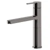 Mitigeur de cuisine titanium GoodHome Phoran